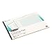 Wilson Jones G7213A Accounting Pad, 13 Eight-Unit Columns, 11 x 16 3/8, 50-Sheet Pad