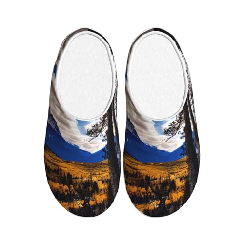 Chaussons anti-boulochage Rocky Mountain Range avec semelle TPR résistante