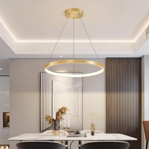 Lámpara colgante LED regulable de metal circular dorada para iluminación interior de casa 2