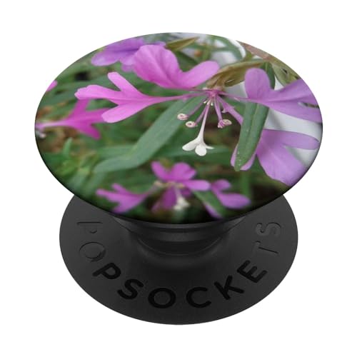 Elkhorn Clarkia - Clarkia pulchella flower PopSockets Swappable PopGrip, Black