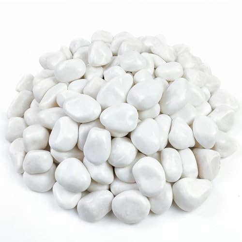 FANTIAN 20 lbs White Rocks for Gardens, 2-3 Inch Decorative Pebbles for Plants Outdoor, White River Rocks for Landscaping Plants Backyard Aquarium Vase and Bird Bath