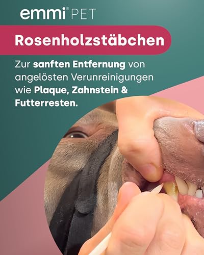 emmi-PET 2.0 Ultraschall-Zahnbürste für Hunde I Geräuschlose Hundezahnbürste gegen Zahnstein & Plaque I Schonende Zahnpflege ohne Schrubben I Zahnpflege Set inkl. Zahnpasta & Aufsätzen