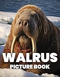 Walrus Picture Book: Explore the Unique and Majestic World of Walruses Through 100 Captivating Photographs