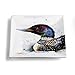 Big Sky Carvers Loon Snack Plate, Multicolor
