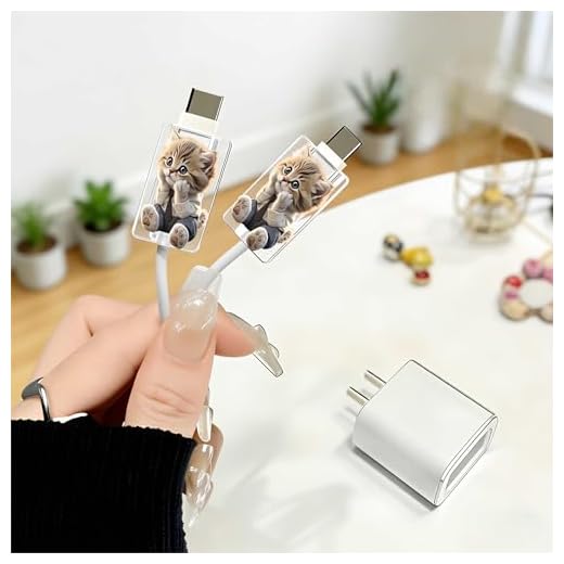 2pcs Acrylic Cute Business Cat Cable Protector, Type-C Compatible, Anti-Break Data Cable Cover, Beautiful and Durable Charging Cable Protective Case, Perfectly Ideal