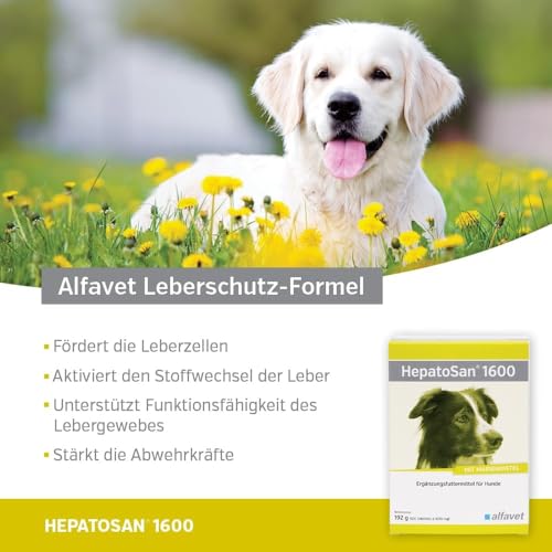 Alfavet HepatoSan 1600, unterstützt den Leberstoffwechsel, Nahrungsergänzung für Hunde, 32 Tabletten à 1600mg