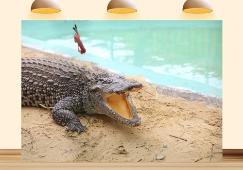 6X6ft Fabric Alligator Photography Backdrop, Wildlife Beach Scene with Reptile,