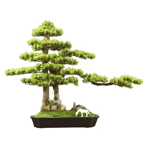 lH lH~̓fXNgbvtFCNAA{IAItBXfXNAoX[̑p