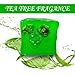 DND Soap Dice Jail Gelatinous Cube, Dice Jail Prison, Time Out Gelatinous Cube, D&D, Dungeon Master, Dungeons and Dragons.