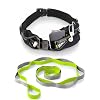 Water-Resistant Reflecive Running Belt for Women and Men with 2 Pockets Running Waist Belt, Money Safe, Phone Holder for Running, Stretching Strap for Yoga, Flexibility, Rehabilitation