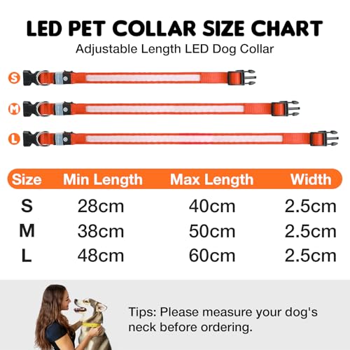 Hundehalsband Leuchtend USB Aufladbar - Leuchthalsband Hund 7 RGB Farbwechsel mit 8 Leuchtmodi, Dickes Verstellbares LED Hundehalsband Wasserdicht für Kleine Mittlere Große Hunde Leuchtendes Halsband