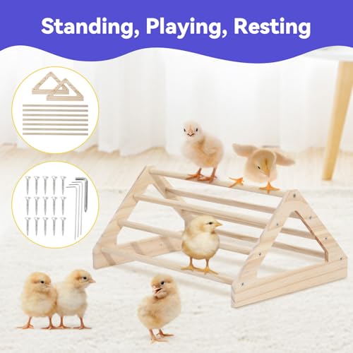 Image of Pawaboo Chick Brooder Box for Chick Starter Kit, Gray