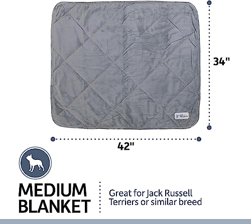 PetFusion Coperta per Cani Premium Plus Medium