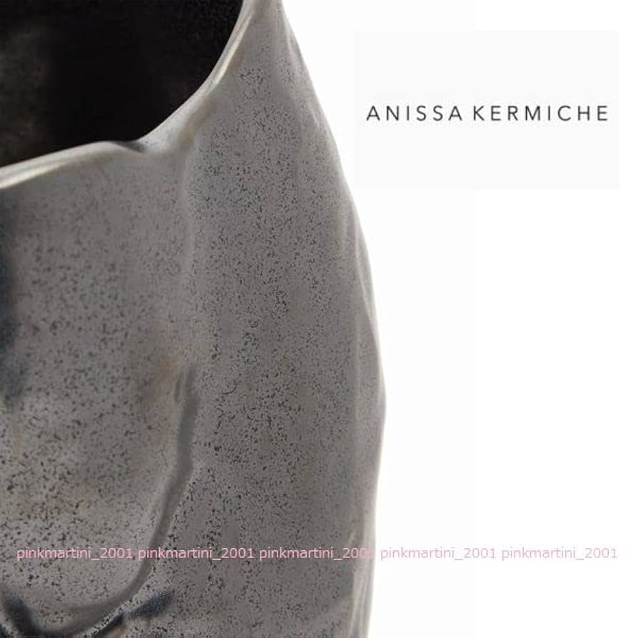 海外セレブ人気【新品】アニッサ・ケルミッシュ　ポプリン花瓶 /オブジェとしても！ 2025年最新】anissa kermicheの人気アイテム - メルカリ