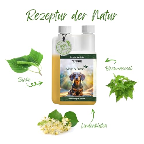 TJURE Nieren & Blase Liquid Hund 500 ml | Ergänzungsfuttermittel mit Kräuterextrakten | Zur Unterstützung der normalen Harnfunktion | Flüssig & leicht dosierbar | Ohne Zusatzstoffe