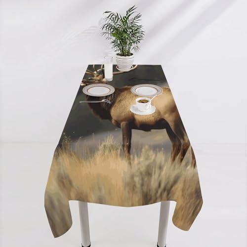 Nappe imperméable et infroissable en polyester pour protéger la table de cuisine - 5