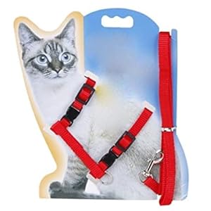 Foodie Puppies Adjustable Body Nylon Harness and Leash Set for Cats – (Cat Harness) (Color May Vary) | Suitable for Puppies, Cats and Kittens
