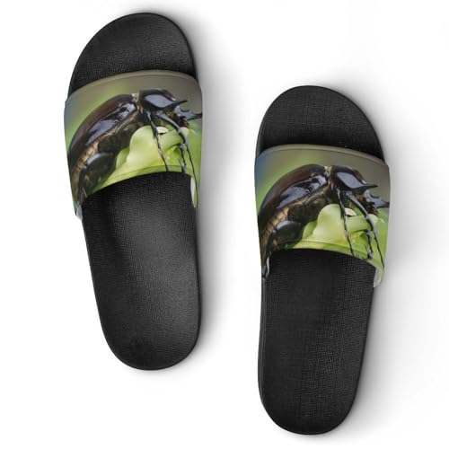 [ACHVAC] �X���b�p �J�u�g���V �������� ���[���V���[�Y �j�����p �T���_�� ������� �y�� ����~�� �􂦂� �I�[���V�[�Y�� �����C ���q�p �����p �I�t�B�X �ƒ�p �v���[���g 43 (265mm)