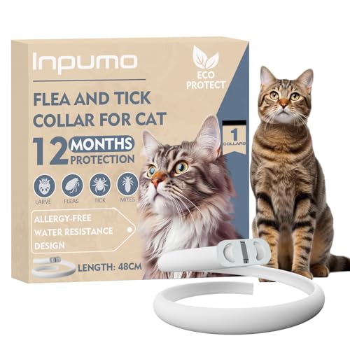 Collar Antiparasitario Gatos, Protección de 24 Meses, Ajustable, Impermeable, Ideal para Gatitos, Collar Antiparasitario Gatos Medianos y Grandes (1pcs)