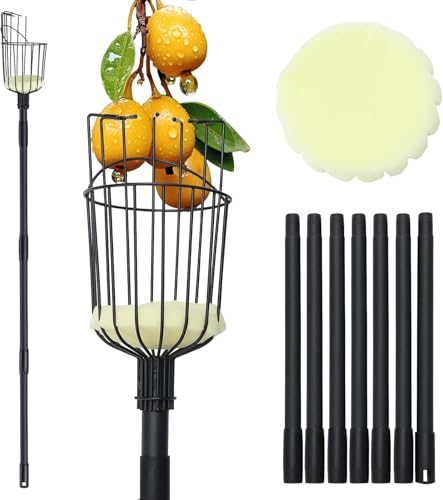 Fruit Picker Pole with Basket - 10.7FT (329cm) Adjustable Tree Gardening Supplies with Stainless Steel Handle Apple Picker Fruit Grabber Reach Tool for Mango Pear Orange Avocados Fruit Picking, Black