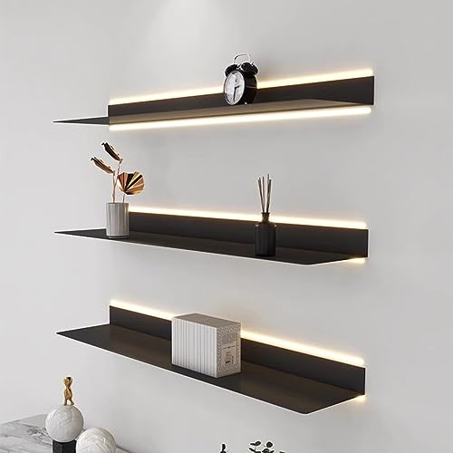 Étagère murale pour plantes et livres pour salon cosy