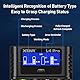 XTAR L4 Pro Ladegerät für AA AAA Batterien - Schnellladegerät Kompatibel mit NI-MH & Li-Ionen Akkus - Intelligentes Ladegerät mit Überladungsschutz für 1.2V & 1.5V Batterien