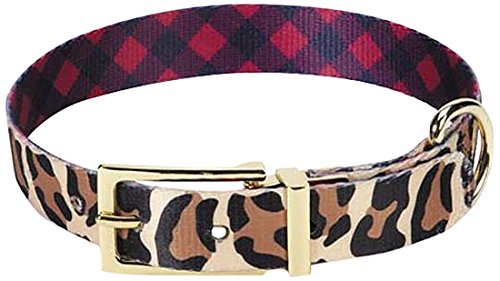 Collier de chien réversible M. Isaac Mizrahi motif imprimé léopard et vichy pour animaux