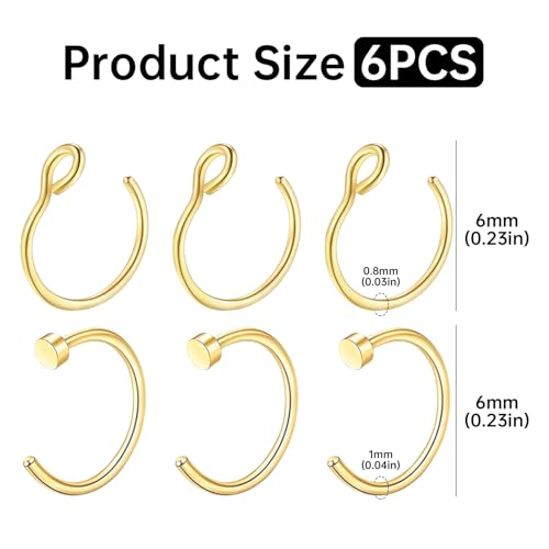6 Stück Fake Nasenpiercing Ring Dünn,Nasenring Gold,Fake Nose Ring,Nasenring Silber,Nostril Piercing Nase,Nasen Piercing Ringe,Septum Lippenpiercing Piercings Set für Nostril/Brüste/Ohr Lippe (Gold)