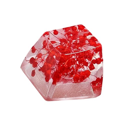 {̉ԕG|LVL[Lbv  JjJL[{[hpL[Lbvp 1