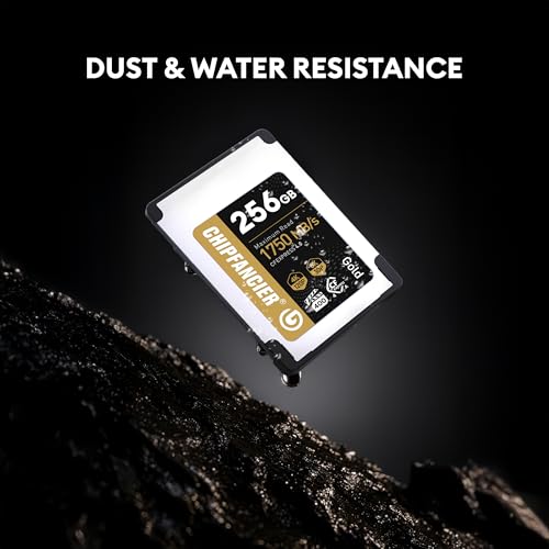 Image of 256GB CFexpress 4.0 Type A Card Up to 1750MB /s Read Speed & 1750MB /s Write Speed Type A Memory Card for RAW 4K /8K Video Recording Compatible with Sony Alpha Sony FX Cameras Gold