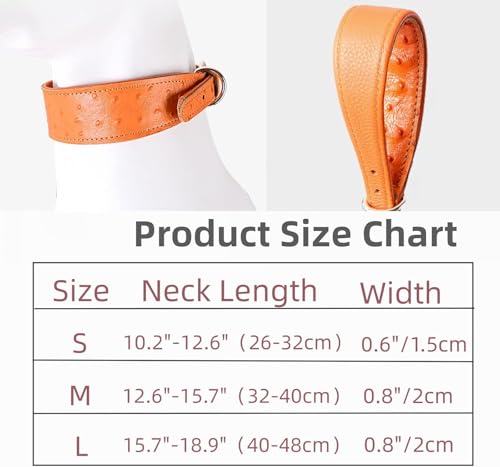 Collier pour chien robuste en cuir véritable vert ajustable en taille M - 4