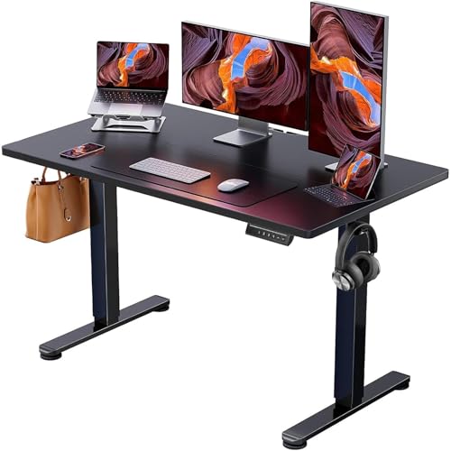 ErGear Height Adjustable Electric Standing Desk, 47.2 x 23.6 Inches Sit Stand up Desk, Memory...