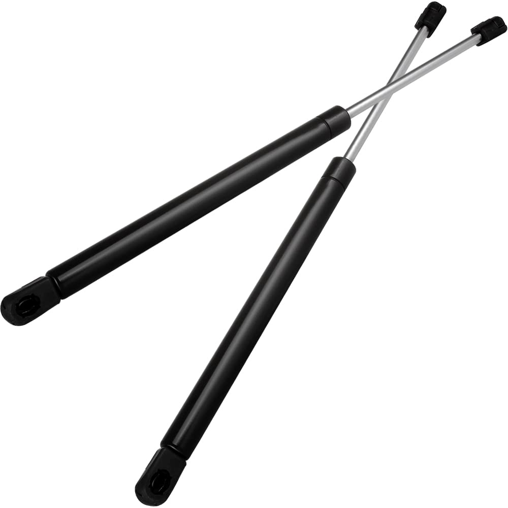 ECCPP 2pcs Front Hood Lift Supports Struts Rods Shocks for 2002-2007 Buick Rendezvous