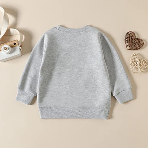 Birthday Shirt for Toddler Baby Boy Girl Crewneck Sweatshirt Letter Print Long Sleeve Pullover Top Fall Clothes (Grey, 12-18 Months)3