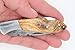 DKC Knives DKC-58-LJ-OW LITTLE JAY Damascus Folding Pocket Knife Olive Wood Handle 4