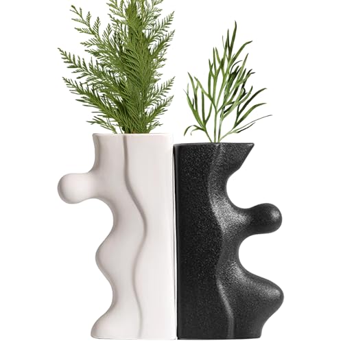 Juego de 2 jarrones de cerámica irregulares blancos y negros, jarrones modernos para decoración de estantes estilo nórdico minimalista, jarrones estéticos bohemios para el hogar, sala de estar,