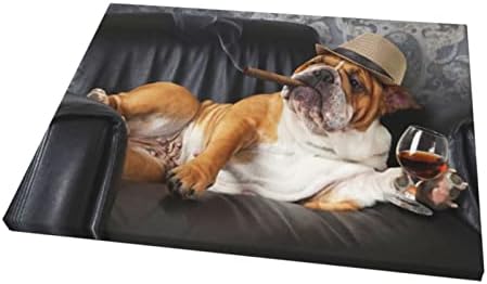 Walita Hipster English Bulldog Puppy Dog Canvas Wall Art for Bathroom, 12 x 16 Inches Home Decor Paintings,White,One Size