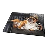 Walita Hipster English Bulldog Puppy Dog Canvas Wall Art for Bathroom, 12 x 16 Inches Home Decor Pai