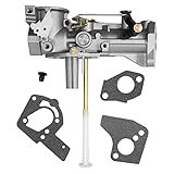 Cyleto Carburetor Replacement for Briggs & Stratton 498298 490533 136202 136212 136217 136232 137202 137212 135207 135202 135212 135217 Carb Gasket Kit