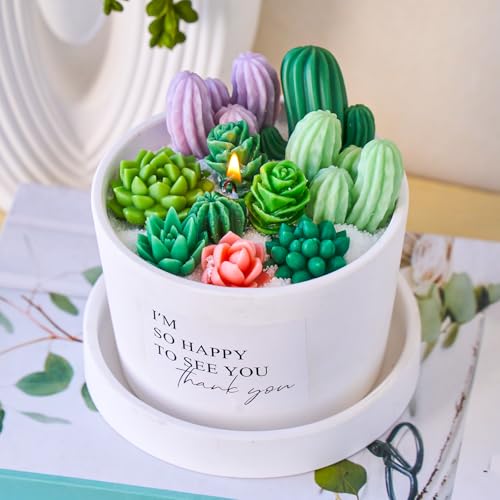 Succulent Candle Mold Set with 9-Cavity & 3D Cactus Silicone Molds for DIY by KDW - Used condition - Image 8