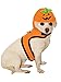 Forum Novelties 80443 Pet Costume-Jack-a-Lantern, Multi, Small, Multicolor