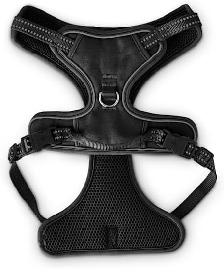 EveryYay by Petco Front Walking Reflective Dog Harness Black Large