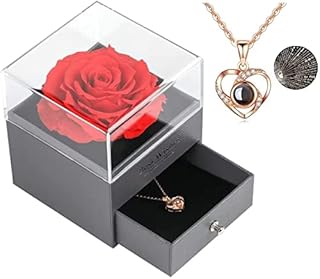 Handmade Preserved Rose Gift Box with Forever Rose and Love You Necklace in 100 Languages, Enchanted Flower Gift for Girlfriend Mother Wife on Anniversary Valentine's Day Mother's Day Christmas Day