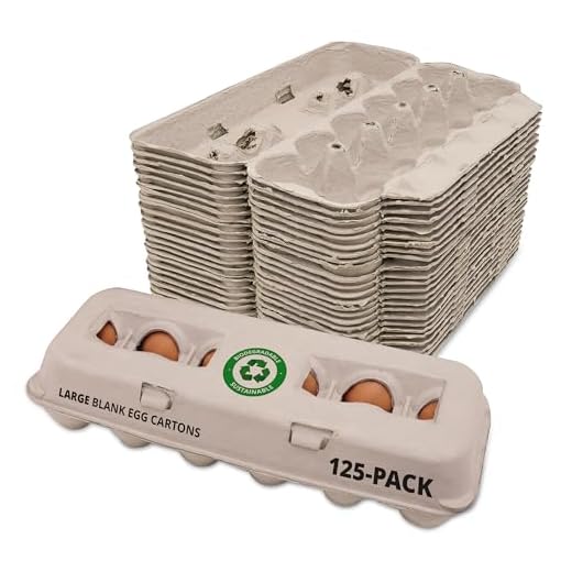 Stromberg's Large Blank Egg Cartons Pack