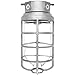 RAB VX200DG Vaporproof Fixture, Incandescent, Ceiling Mount, 300W, 120V