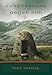 Confessions of a Pagan Nun: A Novel
