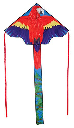 In the Breeze Parrot Fly-Hi Delta Kite, 45