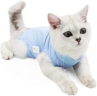 Cat Professional Recovery Suit for Abdominal Wounds or Skin Diseases, E-Collar Alternative