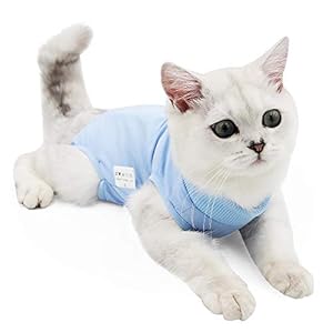 Cat Professional Recovery Suit for Abdominal Wounds or Skin Diseases, E-Collar Alternative for Cats after Surgery Wear,cat medical vest