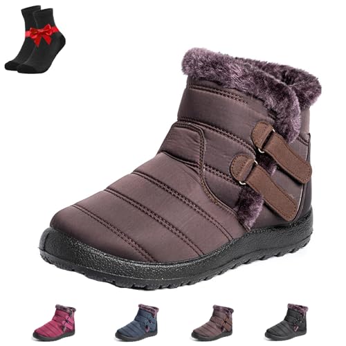 [EDAT] fB[X ~p h ~ `Oȗpu[c t@[n AN Xm[u[c AEghA y ANu[c(Brown,245)